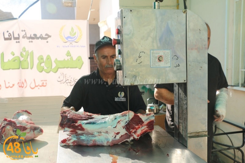 lod8om ada73y (83).JPG